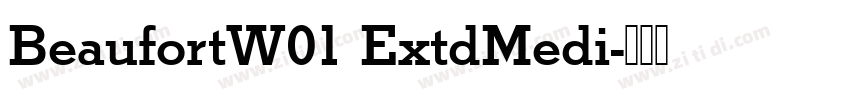 BeaufortW01 ExtdMedi字体转换